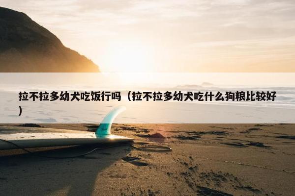 拉不拉多幼犬吃饭行吗（拉不拉多幼犬吃什么狗粮比较好）