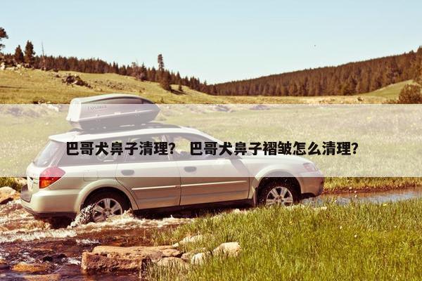 巴哥犬鼻子清理？ 巴哥犬鼻子褶皱怎么清理？
