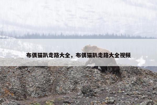 布偶猫趴走路大全，布偶猫趴走路大全视频