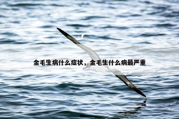 金毛生病什么症状，金毛生什么病最严重