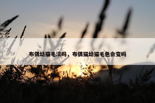 布偶幼猫毛淡吗，布偶猫幼猫毛色会变吗