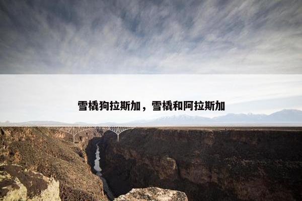 雪橇狗拉斯加,雪橇和阿拉斯加 雪橇狗拉斯加,雪橇和阿拉斯加
