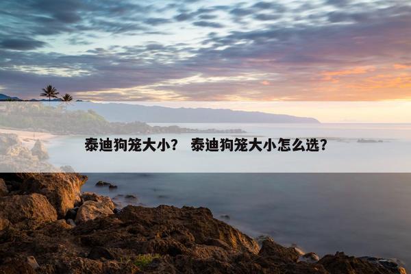 泰迪狗笼大小？ 泰迪狗笼大小怎么选？