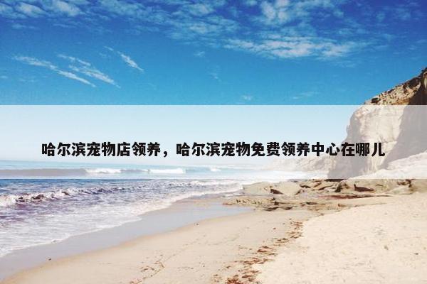 哈尔滨宠物店领养，哈尔滨宠物免费领养中心在哪儿