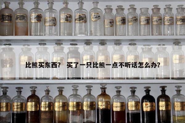 比熊买东西? 买了一只比熊一点不听话怎么办? 比熊买东西? 买了一只比熊一点不听话怎么办?