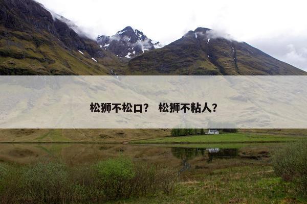 松狮不松口？ 松狮不粘人？