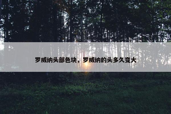 罗威纳头部色块，罗威纳的头多久变大