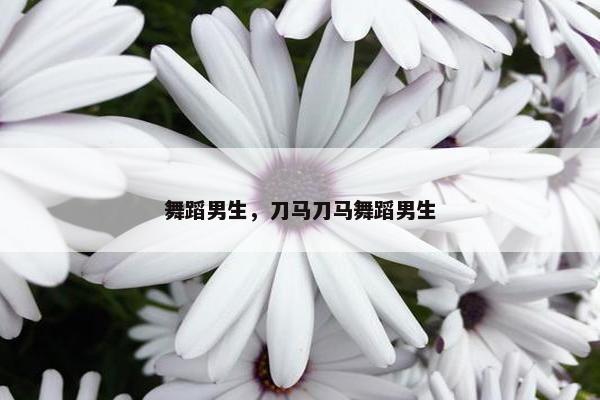 舞蹈男生，刀马刀马舞蹈男生