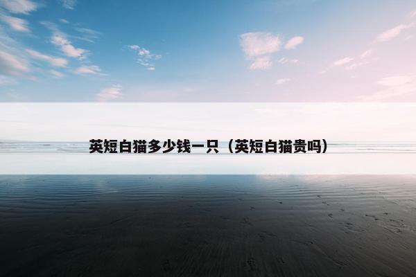 英短白猫多少钱一只（英短白猫贵吗）