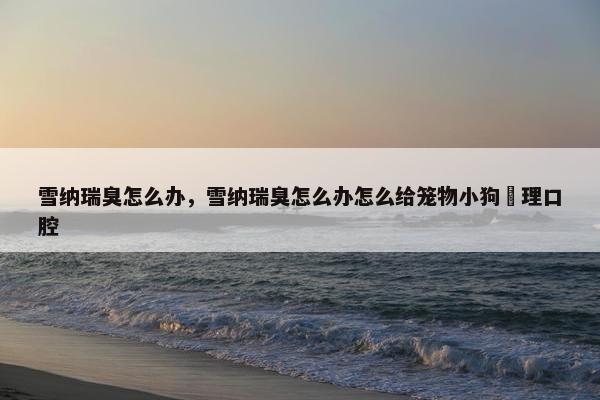 雪纳瑞臭怎么办，雪纳瑞臭怎么办怎么给笼物小狗淸理口腔
