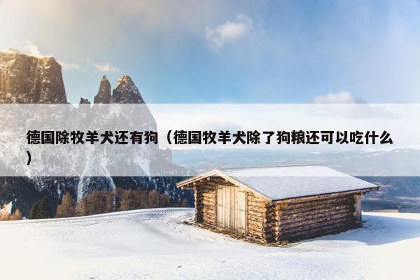 德国除牧羊犬还有狗（德国牧羊犬除了狗粮还可以吃什么）