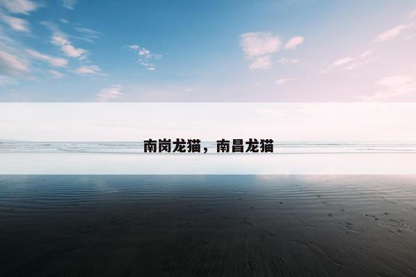 南岗龙猫，南昌龙猫
