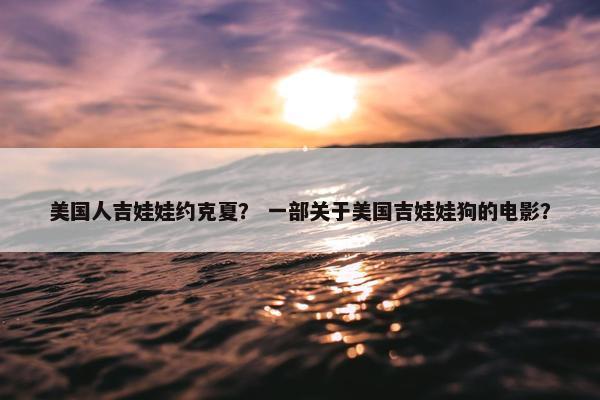 美国人吉娃娃约克夏？ 一部关于美国吉娃娃狗的电影？