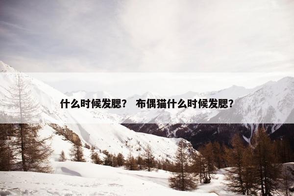 什么时候发腮？ 布偶猫什么时候发腮？