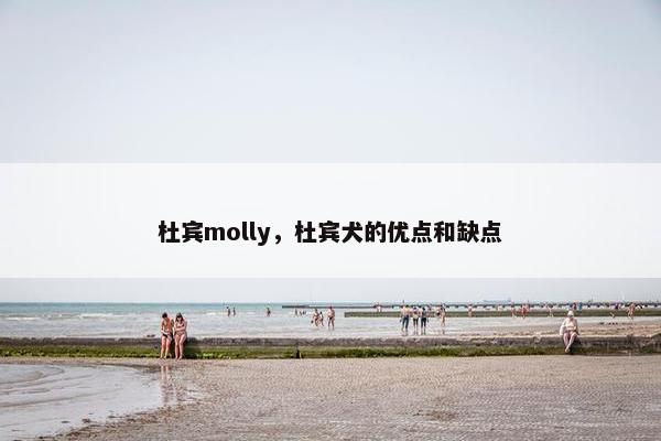 杜宾molly，杜宾犬的优点和缺点