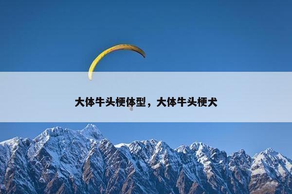 大体牛头梗体型，大体牛头梗犬