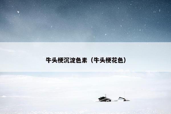 牛头梗沉淀色素（牛头梗花色）