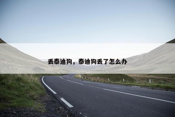 丢泰迪狗，泰迪狗丢了怎么办