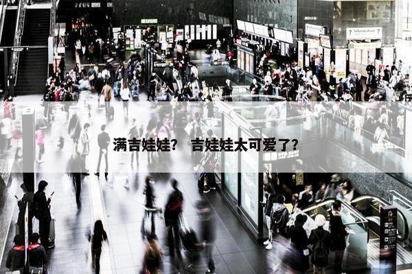 满吉娃娃？ 吉娃娃太可爱了？