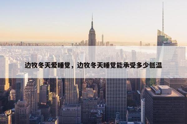 边牧冬天爱睡觉，边牧冬天睡觉能承受多少低温