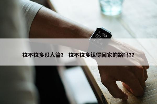 拉不拉多没人管？ 拉不拉多认得回家的路吗?？