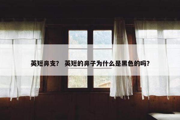 英短鼻支? 英短的鼻子为什么是黑色的吗?