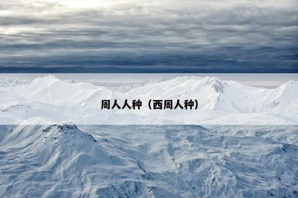 周人人种(西周人种) 周人人种(西周人种)