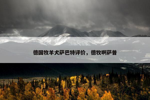 德国牧羊犬萨巴特评价,德牧啊萨普 德国牧羊犬萨巴特评价,德牧啊萨普