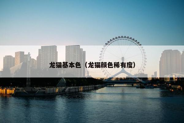 龙猫基本色（龙猫颜色稀有度）