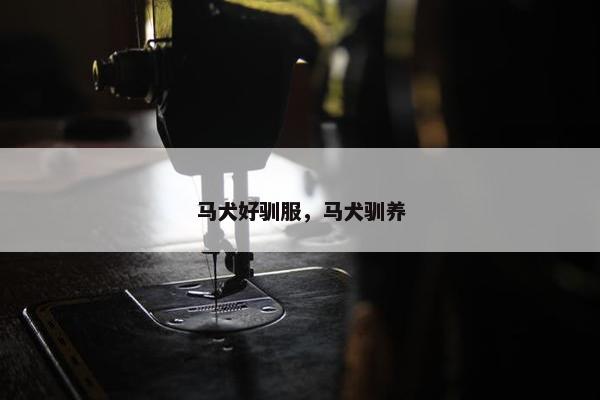 马犬好驯服，马犬驯养