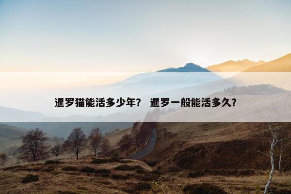 暹罗猫能活多少年？ 暹罗一般能活多久？