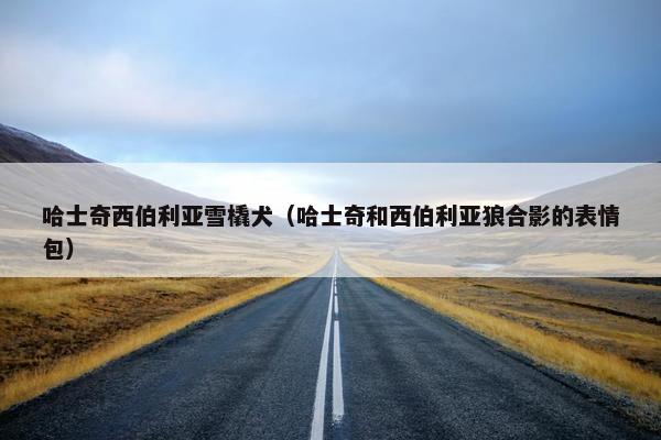 哈士奇西伯利亚雪橇犬(哈士奇和西伯利亚狼合影的表情包) 哈士奇西伯利亚雪橇犬(哈士奇和西伯利亚狼合影的表情包)