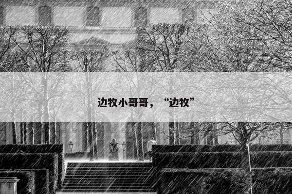 边牧小哥哥，“边牧”