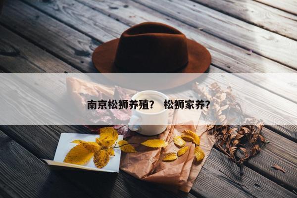 南京松狮养殖? 松狮家养? 南京松狮养殖? 松狮家养?