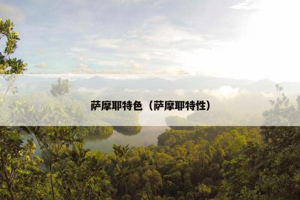 萨摩耶特色（萨摩耶特性）