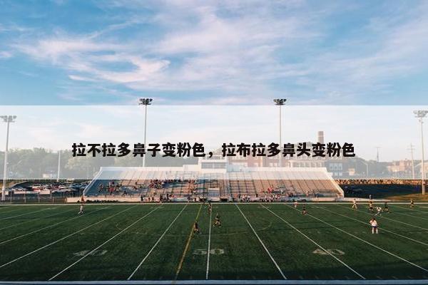 拉不拉多鼻子变粉色，拉布拉多鼻头变粉色