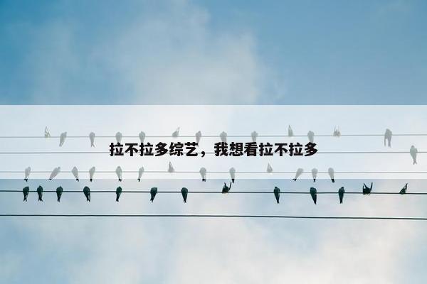 拉不拉多综艺，我想看拉不拉多