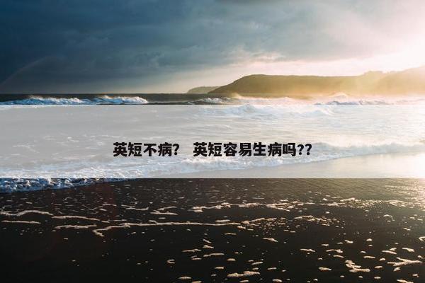 英短不病？ 英短容易生病吗?？