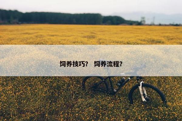 饲养技巧？ 饲养流程？