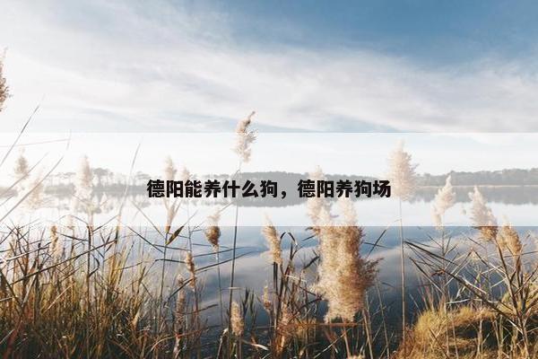 德阳能养什么狗，德阳养狗场