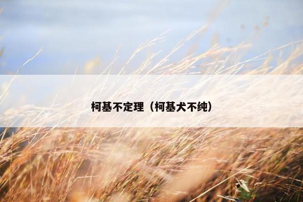 柯基不定理（柯基犬不纯）