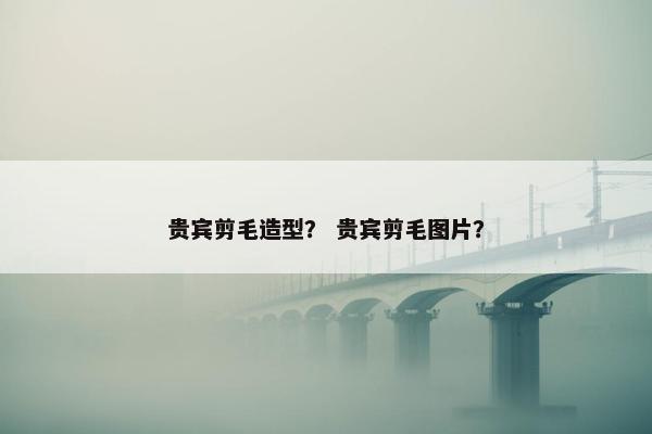 贵宾剪毛造型？ 贵宾剪毛图片？