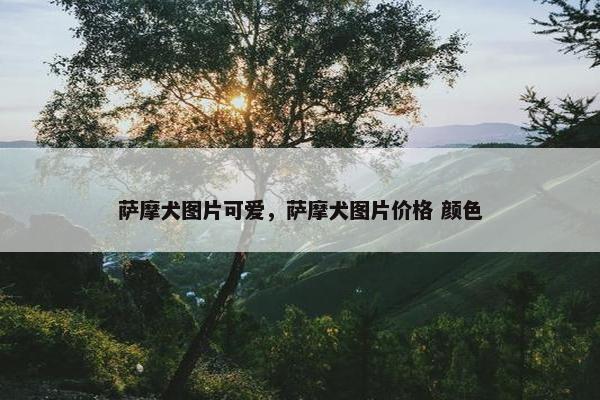 萨摩犬图片可爱，萨摩犬图片价格 颜色