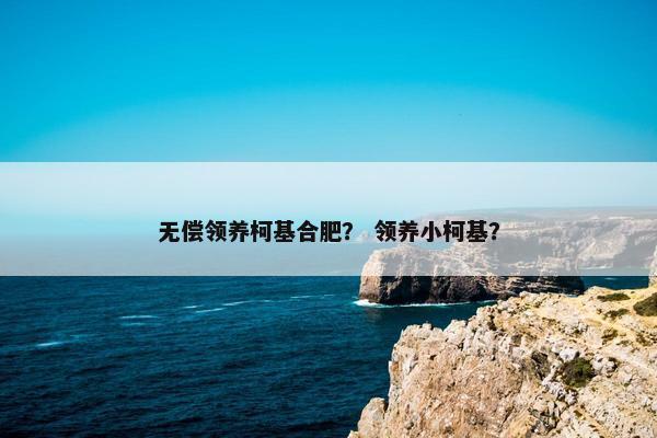 无偿领养柯基合肥？ 领养小柯基？