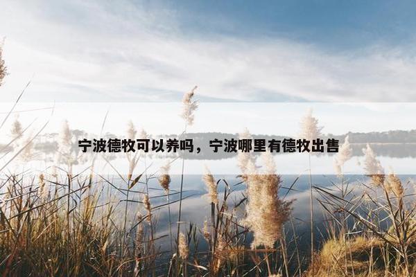 宁波德牧可以养吗，宁波哪里有德牧出售