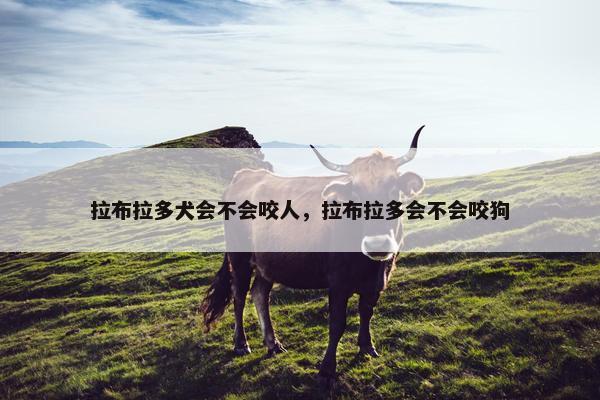 拉布拉多犬会不会咬人，拉布拉多会不会咬狗