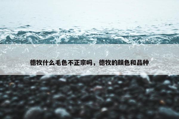 德牧什么毛色不正宗吗，德牧的颜色和品种