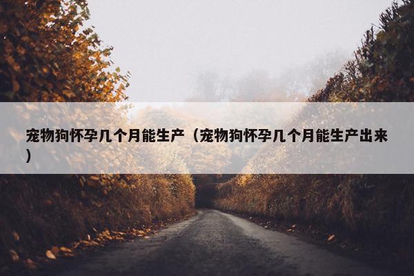 宠物狗怀孕几个月能生产（宠物狗怀孕几个月能生产出来）