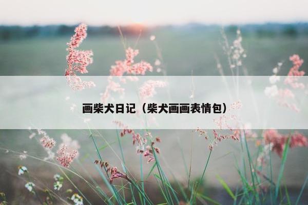 画柴犬日记（柴犬画画表情包）