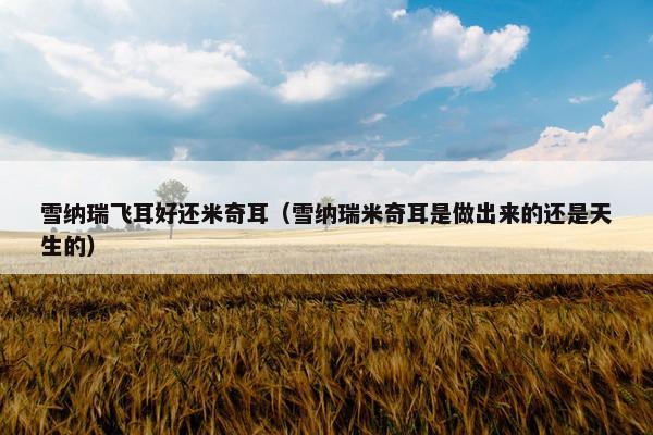 雪纳瑞飞耳好还米奇耳（雪纳瑞米奇耳是做出来的还是天生的）